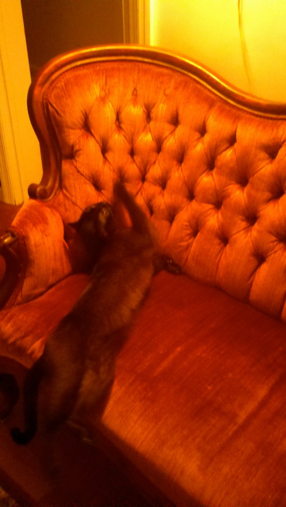 2011-07-11_13-18-26_836