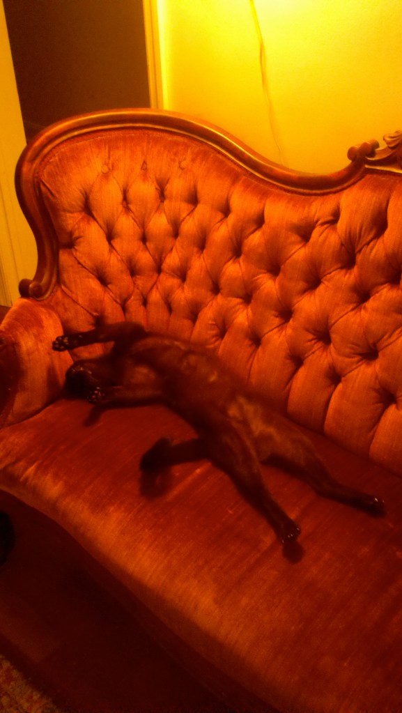 2011-07-11_13-52-06_509