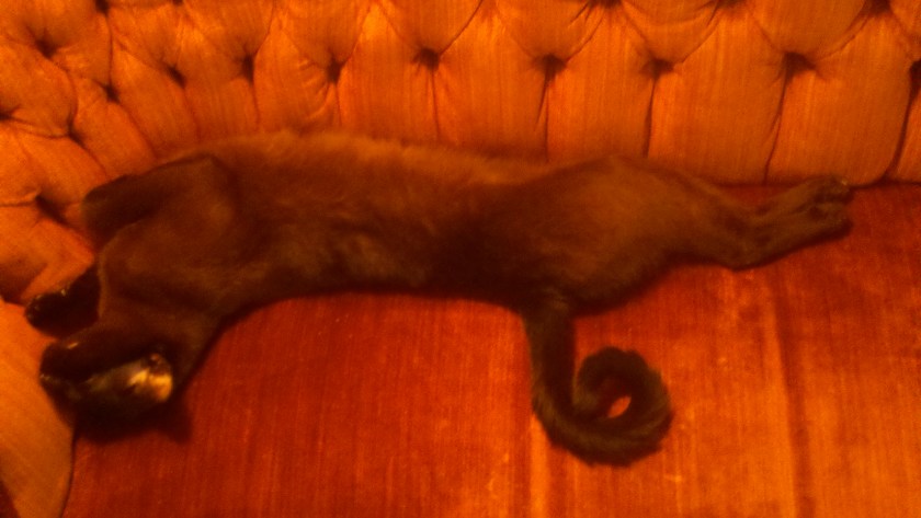 2011-07-11_13-57-02_453