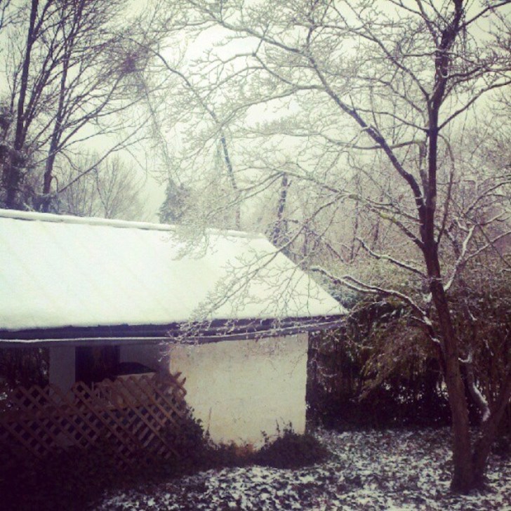 DayAfterWhiteChristmas