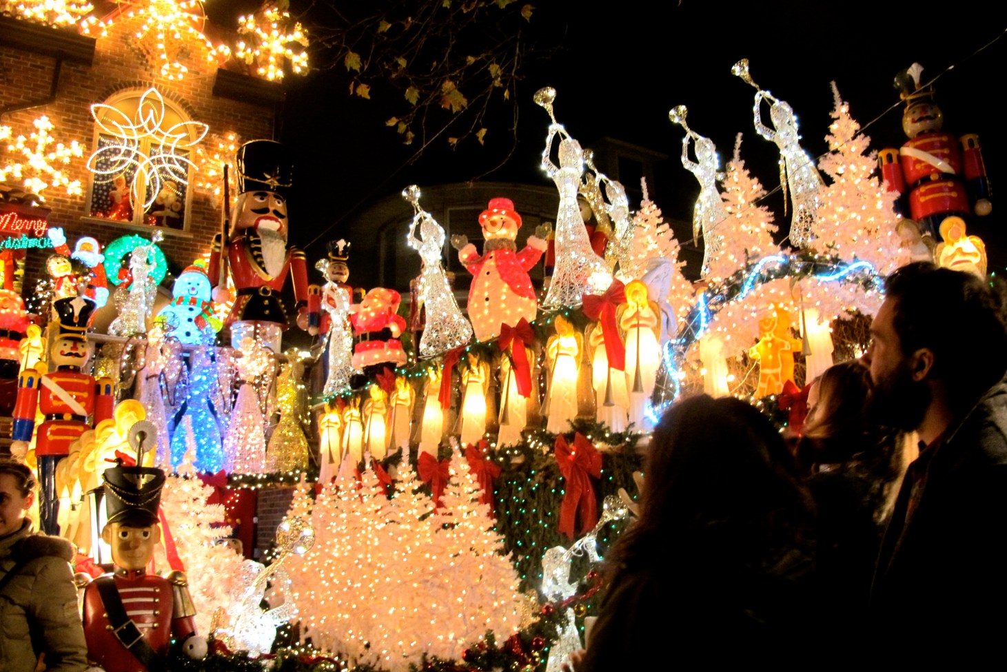 DykerHeightsChristmas