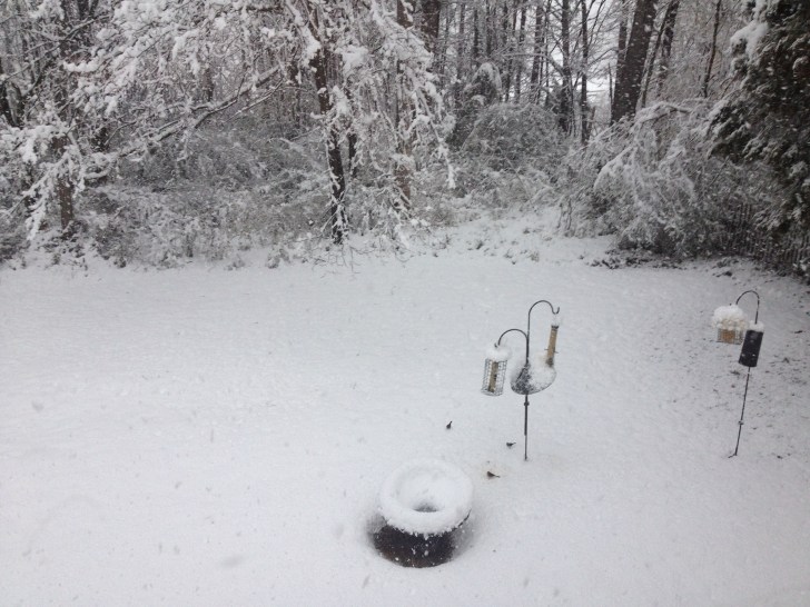 BirdbathSnow
